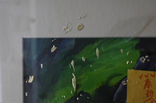 いつもびかびかみどりいろ